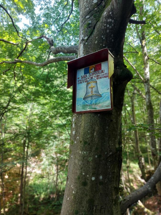Willa Casuta Din Rusca Sebesu de Jos Zewnętrze zdjęcie